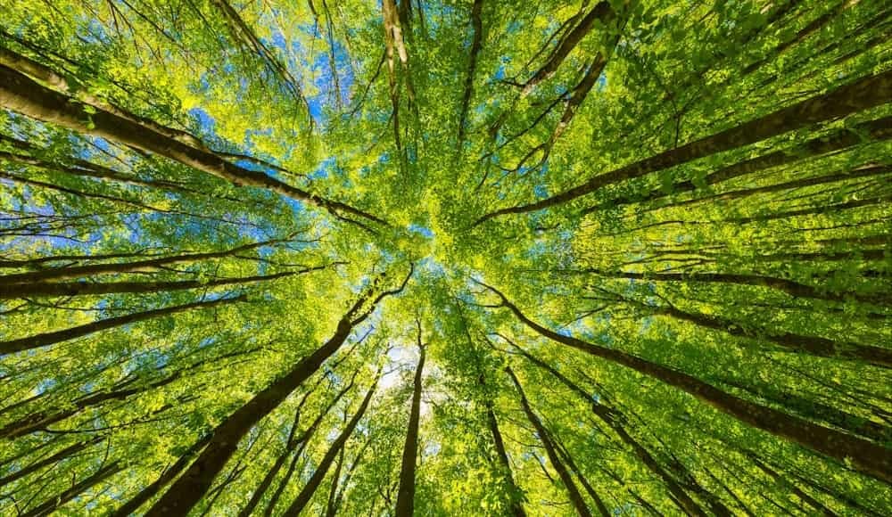 https://general.energy/wp-content/uploads/2026/07/abb_among_time_s_world_s_most_sustainable_companies.jpg