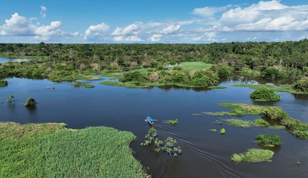 https://general.energy/wp-content/uploads/2026/10/deep_in_the_amazon__a_new_power_plant_aims_to_deliver_grid_stability_for_complex_transmission_networ.jpg